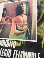 İnsan Kasabı, ORİJİNAL İTALYANCA SİNEMA BEZ AFİŞİ -  DIARIO PROIBITO IN UN COLLEGIO FEMMINILE - Horror Hospital, 1973, FİLM BEZ AFİŞİ / POSTERİ - BÜYÜK BOY - ORİJİNAL - 67 X 47 cm EBADINDA - Original Turkish Big Size Movie Poster - Antony Balch, Michael Gough, Robin Askwith, Vanessa Shaw, Ellen Pollock, Dennis Price, Skip Martin, Kurt Christian, Barbara Wendy, Kenneth Benda, Martin Grace