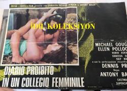 İnsan Kasabı, ORİJİNAL İTALYANCA SİNEMA BEZ AFİŞİ -  DIARIO PROIBITO IN UN COLLEGIO FEMMINILE - Horror Hospital, 1973, FİLM BEZ AFİŞİ / POSTERİ - BÜYÜK BOY - ORİJİNAL - 67 X 47 cm EBADINDA - Original Turkish Big Size Movie Poster - Antony Balch, Michael Gough, Robin Askwith, Vanessa Shaw, Ellen Pollock, Dennis Price, Skip Martin, Kurt Christian, Barbara Wendy, Kenneth Benda, Martin Grace