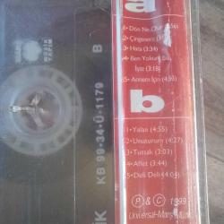 Ebru Gündeş, Dön Ne Olur ve Sibel Can,Daha Yolun Başındayim