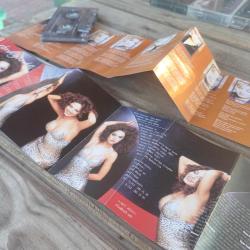 Ebru Gündeş, Dön Ne Olur ve Sibel Can,Daha Yolun Başındayim