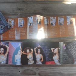 Ebru Gündeş, Dön Ne Olur ve Sibel Can,Daha Yolun Başındayim