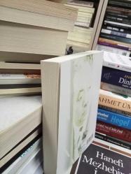 Kur'an'da Edebi Tasvir