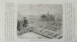 Causeries Sur L'Agriculture et L'Horticulture