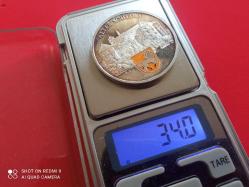 ALMANYA: KIŞ MANZARALI MADALYON