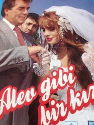 Alev Gibi Bir Kız, ORİJİNAL SİNEMA AFİŞİ - FİLM AFİŞİ / POSTERİ - ORİJİNAL - 49 X 34 cm EBADINDA - Original Turkish Big Size Movie Poster - Hasan Kazankaya, Safa Önal, Mahmut Yumuşak, Seren Serengil, Hakan Ural, Yusuf Sezgin, Zafer Atlı, Hayati Hamzaoğlu, Fatma Belgen, Suat Geyik, Wolfe Morris, GÜLGEN FİLM