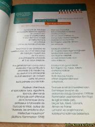 INSTİTUT FRANÇAİS D'İSTANBUL / İSTANBUL FRANSIZ KÜLTÜR MERKEZİ - DECEMBRE 98 / JANVİER 99 - FRANSIZCA VE TÜRKÇE DERGİ , BROŞÜR