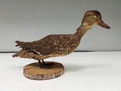 Eskilerden Tahnit Yapılmış Dekoratif Yaban Ördeği