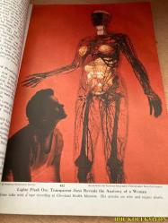 NATİONAL GEOGRAPHİC / VOLUME CVII / NO.4 / APRİL 1955 / İNGİLİZCE DERGİ (OHİO MAKES ITS OWN PROSPERİTY - B. ANTHONY STEWART / SPAİN'S FORTUNATE ISLES THE CANARİES - JEAN AND FRANC SHOR / PHOTOGRAPHİNG THE SEA'S DARK UNDERWORLD - HAROLD E. EDGERTON / DİVİNG THROUGH AN UNDERSEA AVALANCHE - CAPT. JACQUES YVES COUSTEAU / WEATHER FROM THE WHİTE NORTH - ANDREW H. BROWN & JOHN E. FLETCHER / PATROLLİNG TROUBLED FORMOSA STRAİT) (HAFİF YIPRANMALARI MEVCUT)