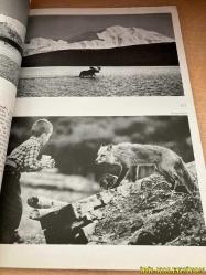 NATİONAL GEOGRAPHİC / VOLUME CXIII / NO.5/ MAY 1958 / İNGİLİZCE DERGİ (HERİTAGE OF BEAUTY AND HİSTORY : THE NATİONAL PARKS : CONRAD L. WİRTH / GUİDE TO SCENİC PLAYGROUNDS AND HİSTORİC SHRİNES OF THE UNİTED STATES AND CANADA  / SAHARA SAND İN MY EYES - JİNX RODGER & GEORGE RODGER / MYSORE CELEBRATES THE DEATH OF A DEMON - LUC BOUCHAGE / HATCHETFİSH TORCHBEARERS OF THE DEEP - PAUL A. ZAHL / FOUR YEARS OF DİVİNG TO THE BOTTOM OF THE SEA - LT. COMDR. G.S. HOUOT / FOLİO FOR BİNDİNGS ATLAS MAPS OFFERED)SAYFA ARALIĞI 587/733 (HAFİF YIPRANMALARI MEVCUT)