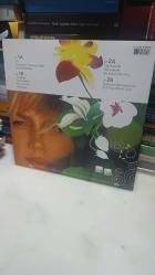 Sezen Aksu - Yaz Bitmeden / 2'Lİ PLAK ( LP )