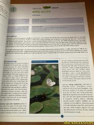 IMPORTANT PLANT AREAS İN TURKEY : 122 KEY TURKİSH BOTANİCAL SİTES / ANDREW BYFİELD / SEMA ATAY / NERİMAN ÖZHATAY / WWF TÜRKİYE / İNGİLİZCE KİTAP (TÜRKİYE'DEKİ ÖNEMLİ BİTKİ ALANLARI: 122 ÖNEMLİ TÜRK BOTANİK SİTESİ)