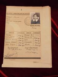 KARNE T.C. MAARİF VEKİLLİĞİ İLKOKUL DİPLOMASI 1944-45 YILI 547