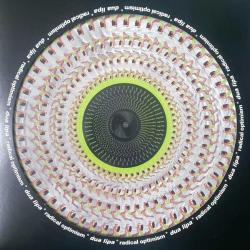 DUA LIPA - RADICAL OPTIMISM LIMITED EDITION NUMBERED PICTURE DISC PLAK LP 2024