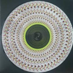 DUA LIPA - RADICAL OPTIMISM LIMITED EDITION NUMBERED PICTURE DISC PLAK LP 2024