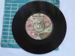 Ajda Pekkan – Ben Bir Köylü Kızıyım / Tatlı Dünya