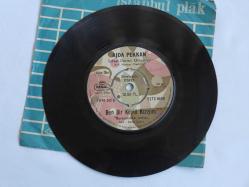 Ajda Pekkan – Ben Bir Köylü Kızıyım / Tatlı Dünya