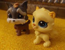 Hasbro Littles Pet Shop 