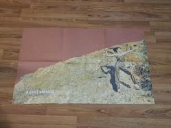 Gaye Su Akyol - Develerle Yaşıyorum - 33'lük Plak ( Orijinal Afişiyle Birlikte )