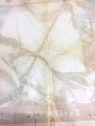 PRENSİN BAKİRESİ, ORİJİNAL SİNEMA ÇİZİM AFİŞİ - Una vergine per il principe, 1965, FİLM AFİŞİ / POSTERİ - BÜYÜK BOY - ORİJİNAL - 100 X 70 cm EBADINDA - Original Turkish Big Size Movie Poster - Pasquale Festa Campanile,  Pasquale Festa Campanile, Ugo Liberatore, Giorgio Prosperi, Vittorio Gassman, Virna Lisi, Philippe Leroy, Tino Buazzelli, Maria Grazia Buccella, Vittorio Caprioli, Paola Borboni, Anna Maria Guarnieri, Giusi Raspani Dandolo - COLUMBIA PICTURES - FİTAŞ - (Restorasyonlu, Dönem Afişidir)