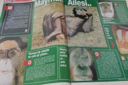 STAR DERGİSİ-STAR-13 EYLÜL-1992-YIL:1-SAYI:48-1992-KAPAK-FOTOĞRAF-RÖPORTAJ-MAGAZİN-SOSYETE-TARİH-BELGESEL-ASTROLOJİ-LIFESTYLE-BÜYÜKELÇİ-TÜRK KADINI-NEW YORK-ZENCİ MEZARLIĞI-SAHİL HEYKELLERİ-CÜCELER-OLİMPİYAT-KADIN-MÜCEVHER-ÇİN-MİAOLAR-HALI-KORSAN-MAYMUNLAR AİLESİ-SALZBURG-ÜÇ  ASIRLIK KAHVE-DANNY SHERIDAN-DENIIS SHERIDAN-PLASTİK EVLER-ORMAN-PORTRE-SARAY HALI-ADİL ÖZDEN-HARLEM-GERGİNLİK-MUCİZE-JOHN ANORIA-ÖLESİYE-KOŞMAK-BEYKOZ'LU KAMİL-KADIN VE SÜSLERİ-İNGILTERE-SAINT MALO-BÜYÜKELÇİ-KOMMER-MİNYATÜR İNSANLAR-