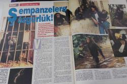STAR DERGİSİ-STAR-3 KASIM-1991-YIL:1-SAYI:4-1991-KAPAK-FOTOĞRAF-RÖPORTAJ-MAGAZİN-SOSYETE-TARİH-BELGESEL-ASTROLOJİ-LIFESTYLE-MEMECAN-ÇİZGİLERLE SEKS-ALİ RIZA KARDÜZ-NEW YORK LOKANTALARI-MİZAH USTALARI-AKREP BURCU-ŞEMPANZELER-BALONLARIN DÜNYASI-AYKUT IŞIKLAR-İSTANBUL SOSYETE GECELERİ-ŞEBNEM-PIRLANTALI KOLYELER-BAĞDAT CADDESİ-TATSOO SALGIN-DÜNYA ÇIPLAKLAR YARIŞMASI-MEVHİBE İNÖNÜ-CHP-LONDRA-PİYANGO MİLYARDERİ-ŞAHİN SARI-AGATHA CHRISTI-PERA PALAS-GAZİ YAŞARGİL-BEYİN CERRAHI-AYDIN DEVLET HASTANESİ-