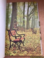 KALBİME BİR ŞİİR GİRDİ / PAPAZ LEE DONG-WON 