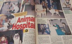 STAR DERGİSİ-STAR-DERGİ-11 NİSAN-1993-YIL:2-SAYI:78-KAPAK-FOTOĞRAF-RÖPORTAJ-MAGAZİN-SOSYETE-TARİH-BELGESEL-ASTROLOJİ-LIFESTYLE-İSTANBUL-HAYVAN HASTANESİ-VUDU BÜYÜCÜLERİ-İLHAMİ PAŞA-HAYALET KENT-CATHERINE DENEUVE-EL DORADO-MIZUNO STREET BREEZE-ERIC BEAUCHAMP-LATİNCE-TOXODES JACULATOR-SÜPER AVCI-KARA BÜYÜ-AYİN-OSMANLI PAŞASI-MOSEL VE RENDE-GEMİ-GEZİNTİ-ÜRDÜN-PETRA-İŞGAL GÜNLERİ-MANİLA-ÇÖPLÜK-EKMEK PARASI-FİLİPİNLER-KARAİPLER-ŞANS-ÇOCUK-RECEP YAZICIOĞLU-VALİ-VENEZUELLA-