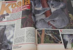 STAR DERGİSİ-STAR-DERGİ-9 MAYIS-1993-YIL:2-SAYI:82-KAPAK-FOTOĞRAF-RÖPORTAJ-MAGAZİN-SOSYETE-TARİH-BELGESEL-ASTROLOJİ-LIFESTYLE-TEDAVÜL-REN GEYİĞİ KANI-SEVİMLİ KOALALAR-DİNAZOR TURİZMİ-RAMBO-YERALTI-BİSİKLET TURU-ANITLAŞAN GENERAL-MAC ARTHUR-MICHELLE SACKS-RADISSON DIAMOND-SABİHA HANIM-PORTRE-SABİHA TANSUĞ-SİBİRYA-VAHŞİ-NENETLER-SYLVESTER STALONE-TOMAS FASULYACIYAN-ANTARES-PASİFİK CEPHESİ-TURGUT ÖZAL-KENAN EVREN-CORNWALL-MADEN OCAKLARI-