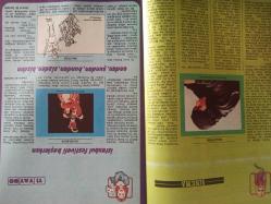 Genç Kadın Aylık Aktüalite Sinema Tiyatro Müzik ve Magazin Dergisi - Haziran 1982 - Sanat Ölümsüzlüğe Oynamak İçin Yapılır - Sinema - Tiyatro - Müzik ve Kitaplar - Bunları Biliyor Musunuz - Mizah - Kulis - Çankaya'nın Bir Numaralı Kadınları - Diplomalı Artistler - Örnek Bir Oyuncu - Haldun Kutlu - Barış Manço - Muazzez Abacı - Cüneyt Arkın - Attila İlhan - Ayın Genç Kızı - Ömer Çavuşoğlu'nu Tanıyor Musunuz? - Seçkinler - Sinekolikler - Sizlerle Başbaşa - Cinsiyet, Sağlık, Psikoloji Bahardan Yazı Düşünün - Bahar ve Yaz Makyajı - Göğüs Sağlığı ve Güzelliği - Bekaret Duvarı - Modern Erkeklerin Korkulu Rüyası - Erkekleri Tanıyalım - Satılık Seks - Filiz Akın - Kadir İnanır - Derya Tuna - Tarık Akan - Erol Evgin - Catherine Deneuve - Cüneyt Arkın - Doktor Kültürü ile Sinema fotoğraf ve haberi - Tam Takım Dergi