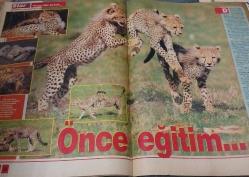 STAR DERGİSİ-STAR-DERGİ-17 EKİM-1993-YIL:2-SAYI:105-KAPAK-FOTOĞRAF-RÖPORTAJ-MAGAZİN-SOSYETE-TARİH-BELGESEL-ASTROLOJİ-LIFESTYLE-SAN SALVADOR-ACIBADEM HATTI-PEDOFİLİ-HİKAYE-KÜÇÜK KADIN-ÇİTALARIN DÜNYASI-SON BAHAR GÜZELLERİ-TANSU ÇİLLER-CHRISTY SANDOVAL-SOPHIA LOREN-OFELYA MIRANDO-LEYA ERGİN-ROGER VADIM-U KALICHA-BOHEMYA PORSELENİ-FAZILA HANIM-CEMİL CONK PAŞA-ROCKWELL MODELLERİ-TANJU ÇOLAK-AJDA PEKKAN-