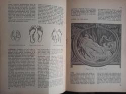 Eros Cinsel Bilim Ansiklopedisi Dergisi - Sayı:3 - 24 Mart 1970 - Aristofan - Ascheim Zondek Testi - Aspasia - Astenospermi - Astentik Tip - Aşağılık Duygusu, Aşağılık Kompleksi - Eski Yunanlılara Ait Bir Heykel fotoğrafı - Aşerme - Aşırılık, Cinsel - Jacopo Della Overcia fotoğrafı - Aşk Oyunları - Aşk Sanatı - Ataerkil Aile - Atletik Tip - Atresia Himenalis - Rodin Aşk Fotoğrafı - Ayakkabı ve Ayaklar - Agnolo Bronzino - ''Venüs, Amor, Kronos ve Çılgınlık'' Ulusal Galeri fotoğrafı - Ayna - Aybaşı - Ayrı Irk Ya da Din Evlilikleri - Azgınlık Devreleri - Azospermi - Von Moreau - Jean François de Troy Fotoğrafları - Babalığın Tesbiti - Babaya Karşı Tutku fotoğraf ve haberi - Tam Takım Dergi