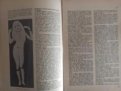 Eros Cinsel Bilim Ansiklopedisi Dergisi - Sayı:11 - 19 Mayıs 1970 - Çift Cinsiyet - Çiftleşme - Çin ve Cinsellik - Çocuk Anormallikleri - 7. Yüzyıla Ait Bir Çin Minyatürü fotoğrafı - Çocuk Düşürme - Jean Pierre Alaux Fotoğrafı - Çocuk Ekleri - Çocuk Evlilikleri - Colombotto Rosso Filmi - Çocuk Fahişeliği - Çocuklarda Cinsel Yaşam - Felicien Rops fotoğrafı - Henri Matisse ''Süslü Fon Üzerindeki Göz Alıcı Şekil'' fotoğrafı - Çocukların Cinsel Eğitimi - Nasıl Bebek Oldunuz - Tohum ve Yumurta - Çocukların Büyümesi - Çiçek Tozu, İnsan Tohumu - Kurbağanın Oluşumu fotoğrafı - Yumurtadan Bebeğ - İpek Böceğinin Oluşumu fotoğraf ve haberi - Tam Takım Dergi