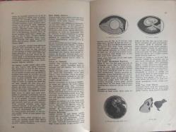 Eros Cinsel Bilim Ansiklopedisi Dergisi - Sayı:11 - 19 Mayıs 1970 - Çift Cinsiyet - Çiftleşme - Çin ve Cinsellik - Çocuk Anormallikleri - 7. Yüzyıla Ait Bir Çin Minyatürü fotoğrafı - Çocuk Düşürme - Jean Pierre Alaux Fotoğrafı - Çocuk Ekleri - Çocuk Evlilikleri - Colombotto Rosso Filmi - Çocuk Fahişeliği - Çocuklarda Cinsel Yaşam - Felicien Rops fotoğrafı - Henri Matisse ''Süslü Fon Üzerindeki Göz Alıcı Şekil'' fotoğrafı - Çocukların Cinsel Eğitimi - Nasıl Bebek Oldunuz - Tohum ve Yumurta - Çocukların Büyümesi - Çiçek Tozu, İnsan Tohumu - Kurbağanın Oluşumu fotoğrafı - Yumurtadan Bebeğ - İpek Böceğinin Oluşumu fotoğraf ve haberi - Tam Takım Dergi