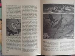 Eros Cinsel Bilim Ansiklopedisi Dergisi - Sayı:11 - 19 Mayıs 1970 - Çift Cinsiyet - Çiftleşme - Çin ve Cinsellik - Çocuk Anormallikleri - 7. Yüzyıla Ait Bir Çin Minyatürü fotoğrafı - Çocuk Düşürme - Jean Pierre Alaux Fotoğrafı - Çocuk Ekleri - Çocuk Evlilikleri - Colombotto Rosso Filmi - Çocuk Fahişeliği - Çocuklarda Cinsel Yaşam - Felicien Rops fotoğrafı - Henri Matisse ''Süslü Fon Üzerindeki Göz Alıcı Şekil'' fotoğrafı - Çocukların Cinsel Eğitimi - Nasıl Bebek Oldunuz - Tohum ve Yumurta - Çocukların Büyümesi - Çiçek Tozu, İnsan Tohumu - Kurbağanın Oluşumu fotoğrafı - Yumurtadan Bebeğ - İpek Böceğinin Oluşumu fotoğraf ve haberi - Tam Takım Dergi