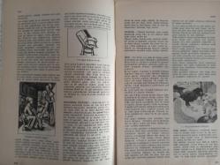 Eros Cinsel Bilim Ansiklopedisi Dergisi - Sayı:14 - 9 Haziran 1970 - İlk Çağda Doğum - Dokunma Duyusu - Ortaçağda Doğum Oturağı - Domina - Don - Don Juan - Felicien Merceau - Don Juan Kompleksi - Döğme - Döllenme - Döllenme Günleri - Döl Yatağı - Döl Yatağının Ameliyatla Çıkarılması - İlk Çağ - Döl Yolu - Dudaklar - Duktus Ejakülasyon - Duktus Epidimidis - Dulgolagni  -Durgunluk Dönemi - Göl Başında Çıplak Kadın fotoğrafı - Macel Gromaire - Duvar Yazıları - Düğün Törenleri - Çorum Gelin Alayı  - E Vitamini - Edebiyatta Cinsel Suçlar ve Sapmalar - Efebofili - Efeminasyon - Eflatun - Egzibisyonizm - Ejakülasyon - Eklamsi - Ektogenez - Ektopik Gebelik - Ekzogami - Elektra Kompleksi - Ellemek - Elma - Emanasyon - Emansipasyon - Embriyo - Embriyogenez - Embriyoloji - Embriyo Aktarması - Emme Kompleksi - Empotens - Emzirme - Endogami fotoğraf ve haberi - Tam Takım Dergi