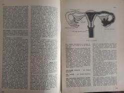 Eros Cinsel Bilim Ansiklopedisi Dergisi - Sayı:14 - 9 Haziran 1970 - İlk Çağda Doğum - Dokunma Duyusu - Ortaçağda Doğum Oturağı - Domina - Don - Don Juan - Felicien Merceau - Don Juan Kompleksi - Döğme - Döllenme - Döllenme Günleri - Döl Yatağı - Döl Yatağının Ameliyatla Çıkarılması - İlk Çağ - Döl Yolu - Dudaklar - Duktus Ejakülasyon - Duktus Epidimidis - Dulgolagni  -Durgunluk Dönemi - Göl Başında Çıplak Kadın fotoğrafı - Macel Gromaire - Duvar Yazıları - Düğün Törenleri - Çorum Gelin Alayı  - E Vitamini - Edebiyatta Cinsel Suçlar ve Sapmalar - Efebofili - Efeminasyon - Eflatun - Egzibisyonizm - Ejakülasyon - Eklamsi - Ektogenez - Ektopik Gebelik - Ekzogami - Elektra Kompleksi - Ellemek - Elma - Emanasyon - Emansipasyon - Embriyo - Embriyogenez - Embriyoloji - Embriyo Aktarması - Emme Kompleksi - Empotens - Emzirme - Endogami fotoğraf ve haberi - Tam Takım Dergi
