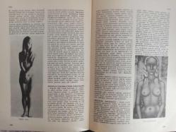 Eros Cinsel Bilim Ansiklopedisi Dergisi - Sayı:15 - 16 Haziran 1970 - Endrometrium - Eonismus - Epifiz - Epigami - Epigenesis - Epiküros - Epispadias - Epizyotomi -  - Tam Takım Dergi
