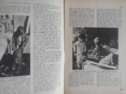 Eros Cinsel Bilim Ansiklopedisi Dergisi - Sayı:21 - 28 Temmuz 1970 - Hadım Etmek, Hadım Olmak - Hadımlık Kompleksi - Alfred Adler - Carl Jung - Melenie Klein - Hamamcı Olmak - Harem - Felix Labisse - Haremağası - Hassas Bölgeler - Hastalık Hastalığı - Theodore Chasseriau ''Ester Tuvalet Yapıyor'' fotoğrafı - Renklerin Raksı - Haşhaş - Haya - Hayali Gebelik - Hayvan Ayaklı Adam - Hayvanlarla Cinsel Birleşme - Hayvanlarda Cinsel Yaşam - Hazne - Hazcılık - HMG - Hematokolpos - Hematometra - Hermafrodit - Kurbağaların Cinsel Birleşmesi - Salyangozların Cinsel Birleşmesi - Herpes Genitalis ve Herpes Gestationis - Heteroseksüel - Heykelseviciliği - Hidrosel - Hierodul - Himen Karünkülü - Hindistan ve Cinsellik - Jane Fonda fotoğraf ve haberi - Tam Takım Dergi