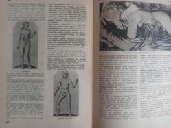 Eros Cinsel Bilim Ansiklopedisi Dergisi - Sayı:21 - 28 Temmuz 1970 - Hadım Etmek, Hadım Olmak - Hadımlık Kompleksi - Alfred Adler - Carl Jung - Melenie Klein - Hamamcı Olmak - Harem - Felix Labisse - Haremağası - Hassas Bölgeler - Hastalık Hastalığı - Theodore Chasseriau ''Ester Tuvalet Yapıyor'' fotoğrafı - Renklerin Raksı - Haşhaş - Haya - Hayali Gebelik - Hayvan Ayaklı Adam - Hayvanlarla Cinsel Birleşme - Hayvanlarda Cinsel Yaşam - Hazne - Hazcılık - HMG - Hematokolpos - Hematometra - Hermafrodit - Kurbağaların Cinsel Birleşmesi - Salyangozların Cinsel Birleşmesi - Herpes Genitalis ve Herpes Gestationis - Heteroseksüel - Heykelseviciliği - Hidrosel - Hierodul - Himen Karünkülü - Hindistan ve Cinsellik - Jane Fonda fotoğraf ve haberi - Tam Takım Dergi