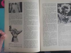 Eros Cinsel Bilim Ansiklopedisi Dergisi - Sayı:22 - 4 Ağustos 1970 - Hipermasti - Hipermenore - Hipofiz - Hipospadias - Hipospermi - Hipotalamus - Hirschfeld Magnus - Hirsutizm - Histeri - Homoseksüellik - Eugene Delacroiy ''Papağanlı Kadın'' fotoğrafı - Gürol Sözen - İlişkiler ve İnsan - Czanara: Homoseksüel Melek - Mitolojik Homoseksüel - Parktaki Homoseksüel - Homoseksüellik Kadınlarda - Hormonlar - Hormon Bozuklukları ve Tedavisi - Hottanto Önlüğü - Hovarda - Thomas Nashe -Husye - Hücre Bilimi - Hülle - Isırmak - Aşk Isırması - Irza Geçme - Sen (Paris) fotoğrafı ve haberi - Tam Takım Dergi