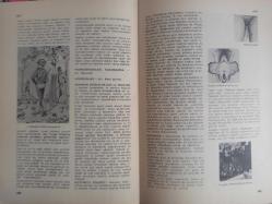 Eros Cinsel Bilim Ansiklopedisi Dergisi - Sayı:22 - 4 Ağustos 1970 - Hipermasti - Hipermenore - Hipofiz - Hipospadias - Hipospermi - Hipotalamus - Hirschfeld Magnus - Hirsutizm - Histeri - Homoseksüellik - Eugene Delacroiy ''Papağanlı Kadın'' fotoğrafı - Gürol Sözen - İlişkiler ve İnsan - Czanara: Homoseksüel Melek - Mitolojik Homoseksüel - Parktaki Homoseksüel - Homoseksüellik Kadınlarda - Hormonlar - Hormon Bozuklukları ve Tedavisi - Hottanto Önlüğü - Hovarda - Thomas Nashe -Husye - Hücre Bilimi - Hülle - Isırmak - Aşk Isırması - Irza Geçme - Sen (Paris) fotoğrafı ve haberi - Tam Takım Dergi