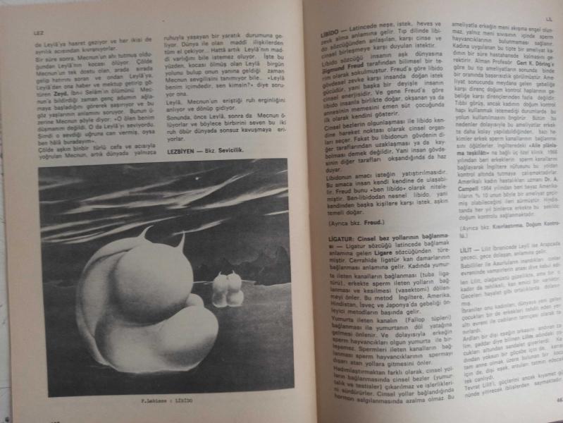 Guruh jinsiy aloqada transvestitlar