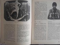 Eros Cinsel Bilim Ansiklopedisi Dergisi - Sayı:31 - 6 Ekim 1970 - Masaj - Theodor Van de Velde - William Masters - Mastürbasyon - Mazohizm - Medeni Nikah - Melezler - Meme - Menapoz - Meni - Meni Gelmesi (Uykuda, Erken ve Geç) - Menoroji - Messalina - Metres - Mısır - Mika Ameliyatı - Miller - Misk - Misoginya - Misopediya - Miyometrium - Model - Ressam ve Modeli - Fotomodel - Amadeo Modigliani - Beatrice Hastings - Marilyn Monroe - Morbus Behçet fotoğraf ve haberi - Tam Takım Dergi