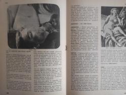 Eros Cinsel Bilim Ansiklopedisi Dergisi - Sayı:31 - 6 Ekim 1970 - Masaj - Theodor Van de Velde - William Masters - Mastürbasyon - Mazohizm - Medeni Nikah - Melezler - Meme - Menapoz - Meni - Meni Gelmesi (Uykuda, Erken ve Geç) - Menoroji - Messalina - Metres - Mısır - Mika Ameliyatı - Miller - Misk - Misoginya - Misopediya - Miyometrium - Model - Ressam ve Modeli - Fotomodel - Amadeo Modigliani - Beatrice Hastings - Marilyn Monroe - Morbus Behçet fotoğraf ve haberi - Tam Takım Dergi