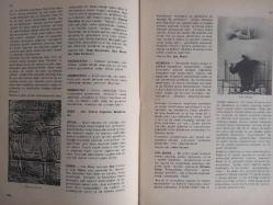 Eros Cinsel Bilim Ansiklopedisi Dergisi - Sayı:34 - 27 Ekim 1970 - Orji - A.B.D. de Çok Yaygın Olan Orji Kulüplerinden Biri - İsis ve Osiris - Orşidektomi - Orşidopeksi - Orşidoptoz - Orşit - Ortak - Osiris - Ostrojen - Otoerotizm - Otizm - Oturak Alemi - Ovariotestis - Over - Ovid - Ovülasyon ve Ovülasyon Testi - Ovum - Oyun Kartları - Ölümcük - Ön Şekillenme Teorisi - İwan Bloch - Gerard Zwang - Pagizm -- Palais Royal fotoğraf ve haberi - Tam Takım Dergi