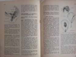 Eros Cinsel Bilim Ansiklopedisi Dergisi - Sayı:37 - 17 Kasım 1970 - Limbik Sistem Nedir? - Psikofarmakolojik İlaçlar Nasıl Tesir Ederler? - Afektif ve Kognitiv - Psikohijyen - Psikoloji - Psiko Nevroz - Psikopatoloji - Psikosomatik - Psikoz - Psişik - Psödopuberte - Pubis - Pubis Kemiği - Pubendus - Pulculuk ve Cinsellik - Püritarizm - Peter Gowland - Rahim - Rahim Biyopsisi - Rahim Büküklüğü ve Dönüklüğü - Rahim Düşüklüğü - Rahim Gelişmesi - Rahim İltihabı - Rahim Parçalanması Ya da Delinmesi - Rahim Urları - Randevu Evi - Ratira Hasya - Refleks - Refleks Yayı - Regl Rektum - Regl - Rektum - Reich Wilhelm - Renk Erotiği - Restif de la Bretonne - Reprodüksiyon fotoğraf ve haberi - Tam Takım Dergi