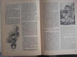 Eros Cinsel Bilim Ansiklopedisi Dergisi - Sayı:37 - 17 Kasım 1970 - Limbik Sistem Nedir? - Psikofarmakolojik İlaçlar Nasıl Tesir Ederler? - Afektif ve Kognitiv - Psikohijyen - Psikoloji - Psiko Nevroz - Psikopatoloji - Psikosomatik - Psikoz - Psişik - Psödopuberte - Pubis - Pubis Kemiği - Pubendus - Pulculuk ve Cinsellik - Püritarizm - Peter Gowland - Rahim - Rahim Biyopsisi - Rahim Büküklüğü ve Dönüklüğü - Rahim Düşüklüğü - Rahim Gelişmesi - Rahim İltihabı - Rahim Parçalanması Ya da Delinmesi - Rahim Urları - Randevu Evi - Ratira Hasya - Refleks - Refleks Yayı - Regl Rektum - Regl - Rektum - Reich Wilhelm - Renk Erotiği - Restif de la Bretonne - Reprodüksiyon fotoğraf ve haberi - Tam Takım Dergi