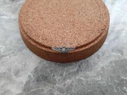 AMERİKAN HAVA KUVVETLERİ ASKERİ PİLOT BRÖVESİ - ROZET - MADALYA ( YAKA BOY ) C462