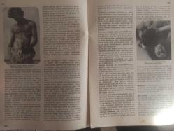 Eros Cinsel Bilim Ansiklopedisi Dergisi - Sayı:41 - 15 Aralık 1970 - Seks Kromatini - Seks Partileri - Havuzdaki Seks Partisi fotoğrafı - Seks Sterilizasyonu - Seksualite - Sembol - Eş Değiştirme Partisi fotoğrafı - Semen Boncuğu - Semen Taşı - Sendrom - Cinsel Sertbestlik - Albert Ellis - Ahlmark Michanek - Serenad - Sertleşme - Serviks Aşınması - Serviks Urları - Ses - Sevicilik - Dr. Beran Wolf - İki Kız fotoğrafı - N. Laforet ve S. Andron Bir Filmde Sevişme Sahnesinde - Gençler Arasında Sevişme - Bir ''Petting'' Sonrası fotoğrafı - Sevişme Sanatı - Sevmek - Sezaryen - Sifilis - Sifilofobi - Sihir - Siklofreni - Siklotim - Siklus - Simmond Hastalığı - Sims Hühner Testi - Regnault ''Üç Melek Louvre'' fotoğrafı ve haberi - Tam Takım Dergi
