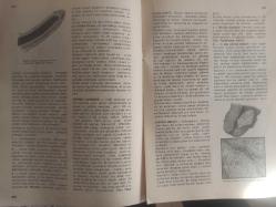 Eros Cinsel Bilim Ansiklopedisi Dergisi - Sayı:41 - 15 Aralık 1970 - Seks Kromatini - Seks Partileri - Havuzdaki Seks Partisi fotoğrafı - Seks Sterilizasyonu - Seksualite - Sembol - Eş Değiştirme Partisi fotoğrafı - Semen Boncuğu - Semen Taşı - Sendrom - Cinsel Sertbestlik - Albert Ellis - Ahlmark Michanek - Serenad - Sertleşme - Serviks Aşınması - Serviks Urları - Ses - Sevicilik - Dr. Beran Wolf - İki Kız fotoğrafı - N. Laforet ve S. Andron Bir Filmde Sevişme Sahnesinde - Gençler Arasında Sevişme - Bir ''Petting'' Sonrası fotoğrafı - Sevişme Sanatı - Sevmek - Sezaryen - Sifilis - Sifilofobi - Sihir - Siklofreni - Siklotim - Siklus - Simmond Hastalığı - Sims Hühner Testi - Regnault ''Üç Melek Louvre'' fotoğrafı ve haberi - Tam Takım Dergi